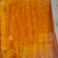 فروش انواع نبات شاخه چوبی