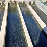 کارگری و سرایداری در پرورش ماهی