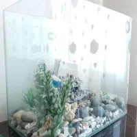 آکواریوم شیشه خم شرکتی با وسایل