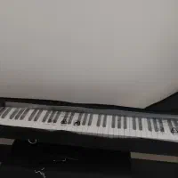 پیانو دیجیتال NUX|پیانو، کیبورد، آکاردئون|تهران, توحید|دیوار