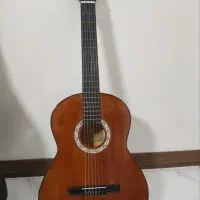 گیتار دیاموند