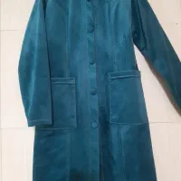 پالتو