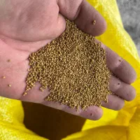 بذر یونجه|خدمات باغبانی و درختکاری|مهاباد (آذربایجان غربی), |دیوار