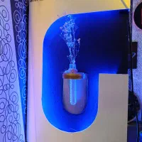 تابلو زنده|تابلو، نقاشی، عکس|ملارد, |دیوار