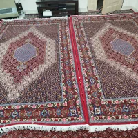 2.3فرش|فرش|سنندج, |دیوار