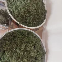 مشاغل خانگی