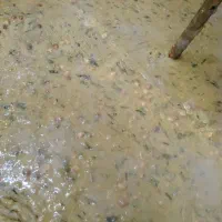 آش سبزی عمده