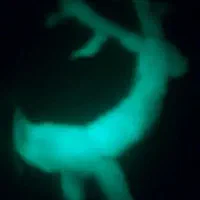 سنگ شب چراغ