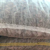 تخمه آفتابگردان کانادایی s 400