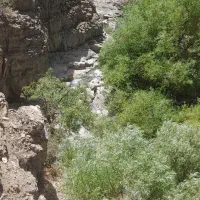 طبیعت گردی