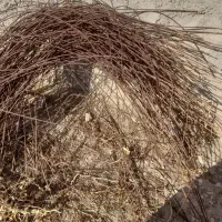 سیم کشاورزی