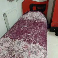 تخت یکنفره|تخت و سرویس خواب|شیراز, لاله|دیوار