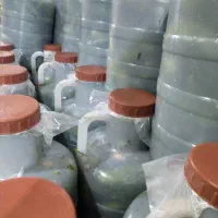 خیارشور آوین|خوردنی و آشامیدنی|سردرود, |دیوار