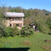 لنگرود  اطاقور سوئیت. حیاط دار ویو ابدی جای امن