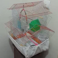 ۵ عدد فنچ بهمراه ۴ عدد تخم بهمراه قفس خاص