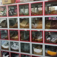 56مترتجاری سرنبش خ دشت چنار(محراب)|فروش مغازه و غرفه|شیراز, دشت چنار|دیوار