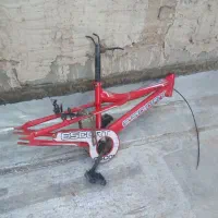 تنه دوچرخه ۲۰ سالم