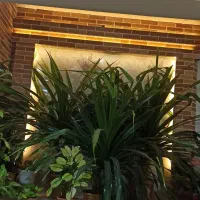 گل خنجری|گل و گیاه طبیعی|فردوس (خراسان), |دیوار