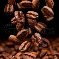 پخش عمده قهوه|عمدهفروشی|الیگودرز, |دیوار