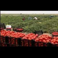 اجاره زمین کشاورزی توافقی، اجاره آب و زمین