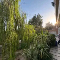 رهن واجاره آپارتمان ۱۱۶متر/کوی مهر/اکازیون|اجارهٔ آپارتمان|کرج, کوی مهر|دیوار