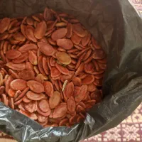 تخمه هندوانه و کشک محلی