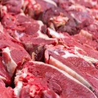 نیاز به سر آشپز زن و کمک اشپز در ستوران بیرون بر