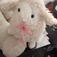 عروسک خرسی و بره پشمالو|اسباببازی بچه|بندرعباس, |دیوار