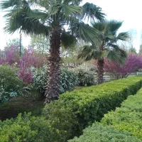 تور شمال و کاشان1روزه نفری1300دوروز رامسر2900