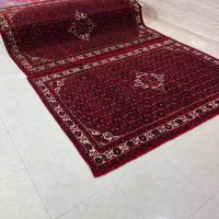 جفت مشابه ۶متری ازندریان در حد
