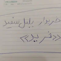 قناری باغی|پرنده|برازجان, |دیوار