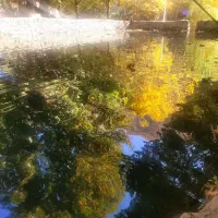 تور یک روزه ماهیگیری