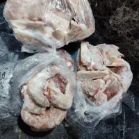 غذای حیوانات