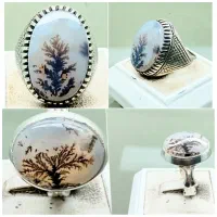 دو عدد شجر کلکسیونی قائن باهم ۱۰تومن