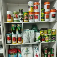 فروش تخصصی انواع بذر سبزیجات و صیفیجات و گل|گل و گیاه طبیعی|بابل, |دیوار