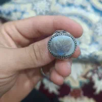 انگشتر شجر نقره