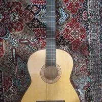 گیتار نو برند دایموند