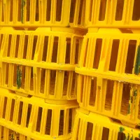 جک الوند ایسوزو