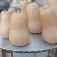 لوازم میوه فروشی|فروشگاه و مغازه|اصفهان, تخت فولاد|دیوار