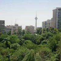 اپارتمان 135 متر ونک عطار خدامی|اجارهٔ آپارتمان|تهران, ونک|دیوار
