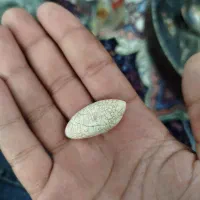 مهره اصلی