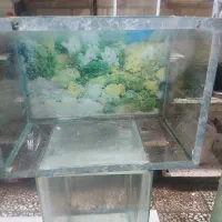 اکواریوم