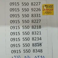 09353513030