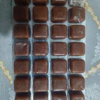 غذای ماهی