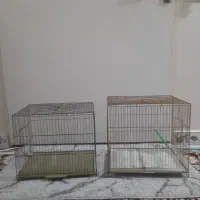 دو عدد قفس سالم و تمیز