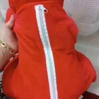 ۲۰۰|صنایع دستی و سایر لوازم تزئینی|مشهد, کوی المهدی|دیوار