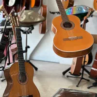 گیتار های دیاموند ،پارسی، یاماها|گیتار، بیس، امپلیفایر|دزفول, |دیوار