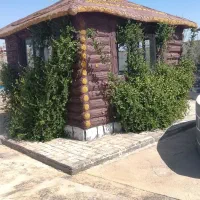 مراسمات و کافه