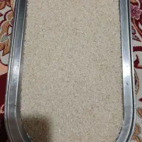 برنج شمال|خوردنی و آشامیدنی|الوند, |دیوار