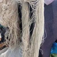 راهنمایی کنید